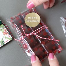 画像3: 〒 ポリカーボネート製  チョコレート型／スリムな2列チョコバー (3)