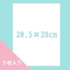 画像1: 〒 食用ウエハーペーパー 無地（長方形）5枚入　※ゆうパケットは4点まで (1)