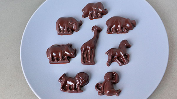 動物 アニマル チョコレート型でバレンタインの簡単手作りチョコレートを